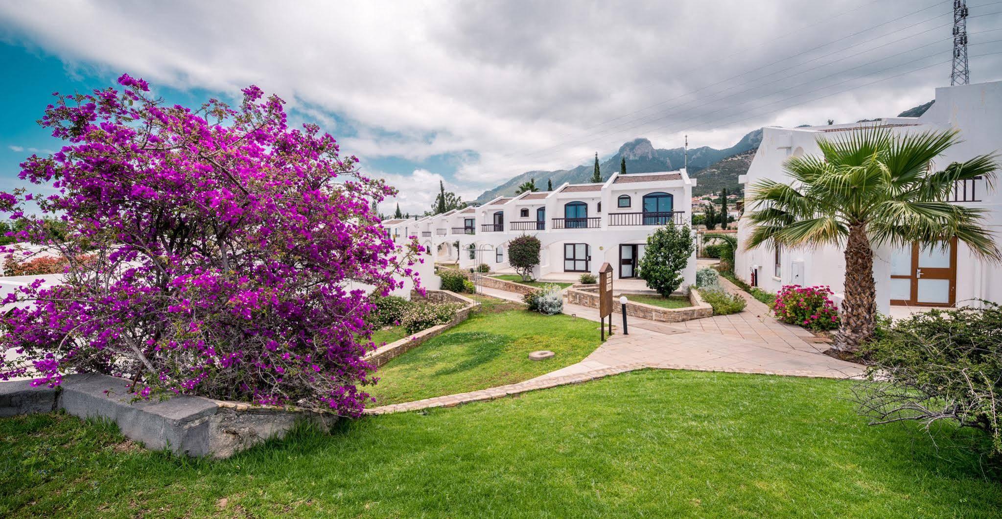 The Olive Tree Hotel Agios Epiktitos Exterior foto